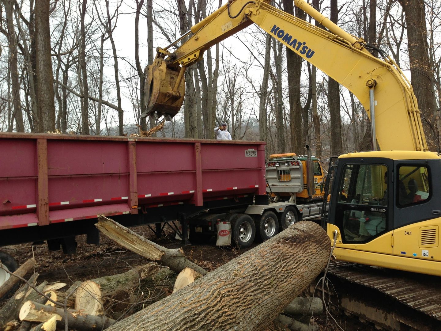 Bobcat putting logs into a dump truck