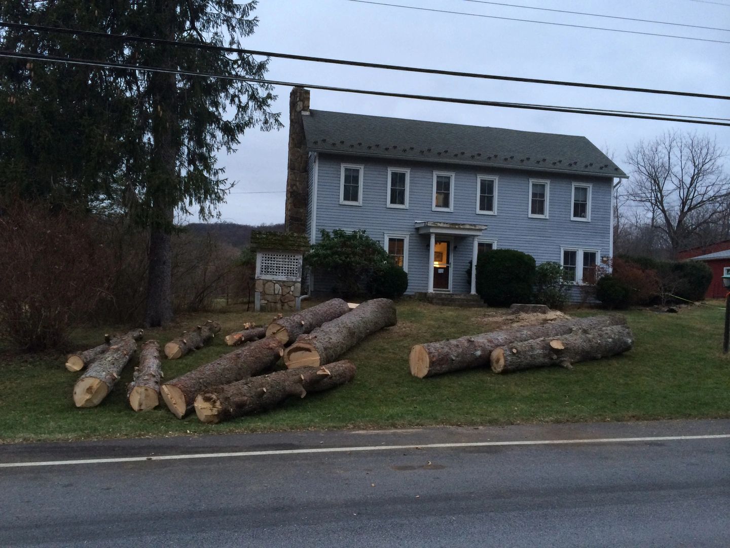 large logs in a homes front yard