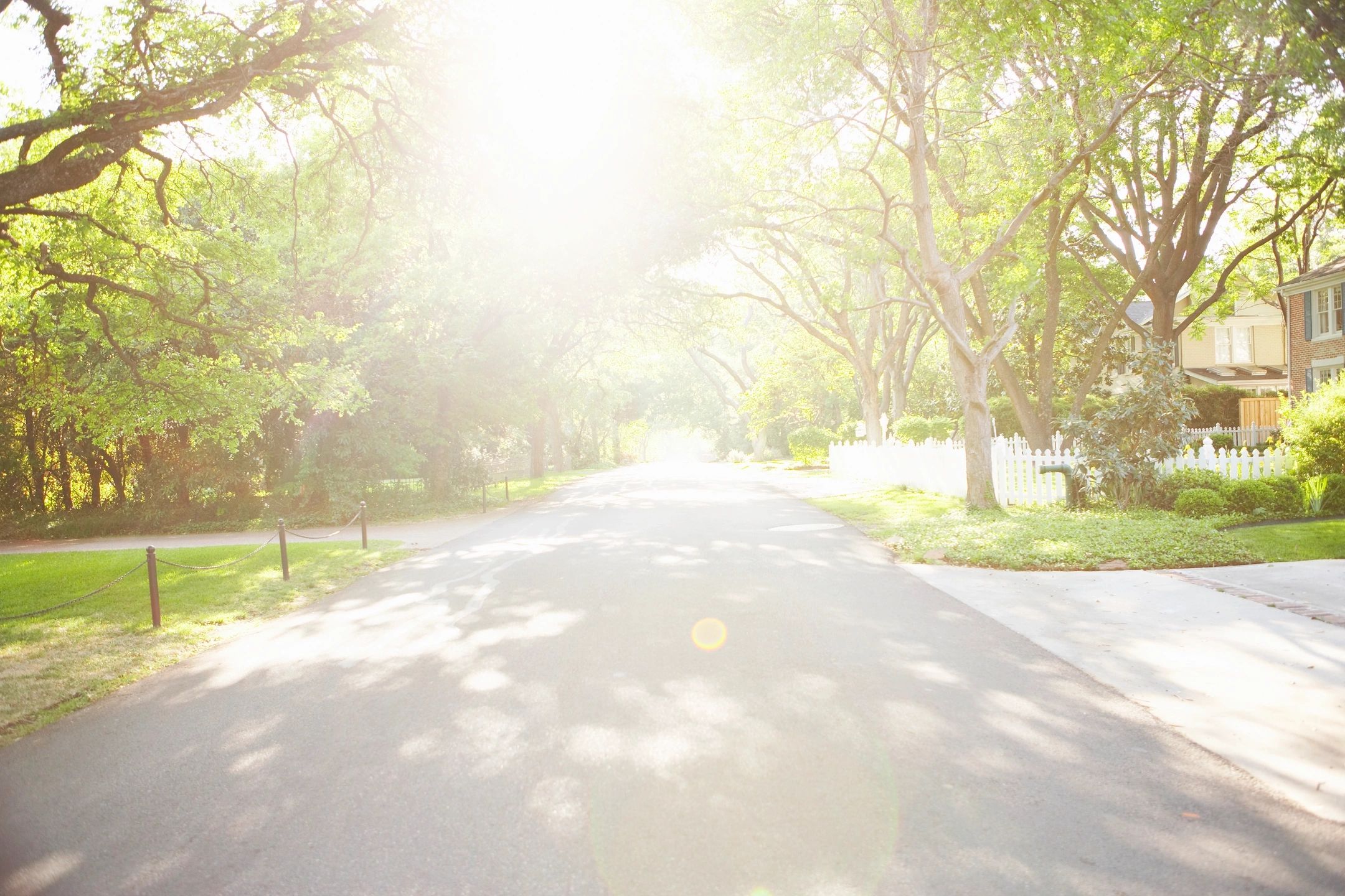 picture of a street with sun flare