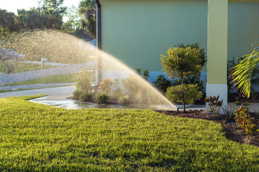 Why Is My Lawn Turning Brown? 2