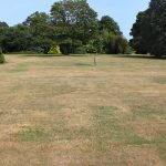 What Causes Brown Patches in Grass?
