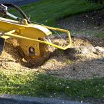 Why Is Stump Grinding Worth It?